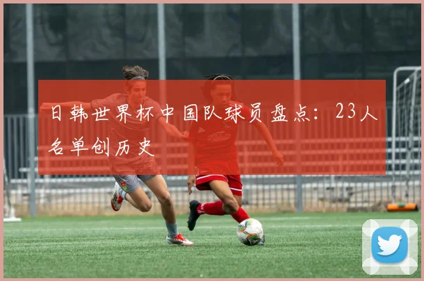 日韩世界杯中国队球员盘点：23人名单创历史
