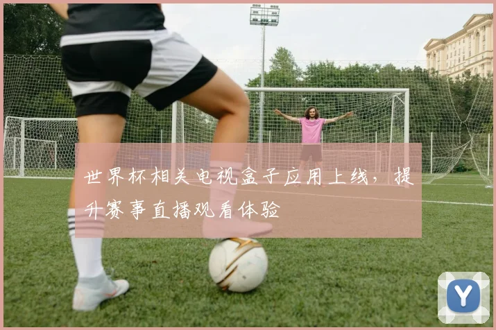 世界杯相关电视盒子应用上线，提升赛事直播观看体验